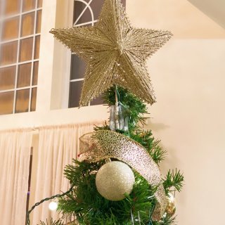 Dollar Tree的一些圣诞树小挂件...