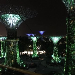 第四天：新加坡最喜爱的景点 -滨海湾公园...