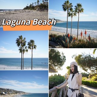 Laguna Beach，偶遇爱心树...