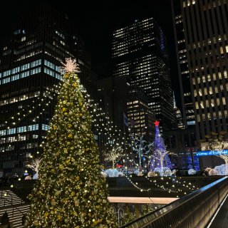 🎄圣诞氛围满满的纽约🗽...