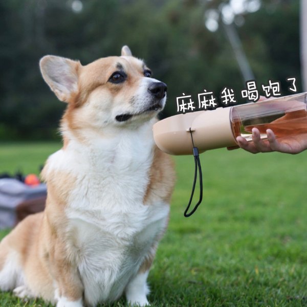 笔记图片