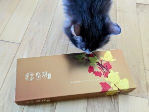 猫猫都也馋嘴的皇玥新年礼盒