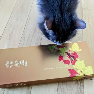 猫猫都也馋嘴的皇玥新年礼盒...