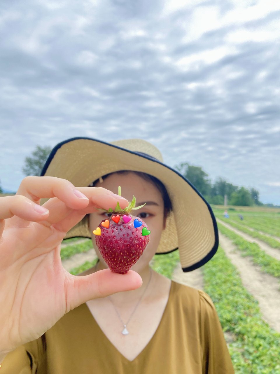 摘草莓🍓啦～