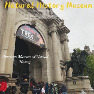 美国亲子游｜第八站 美国自然历史博物馆 ...