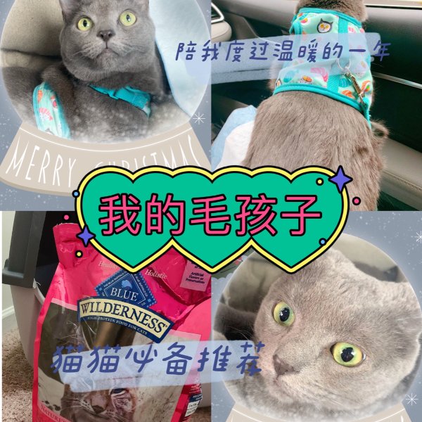 晒货图片