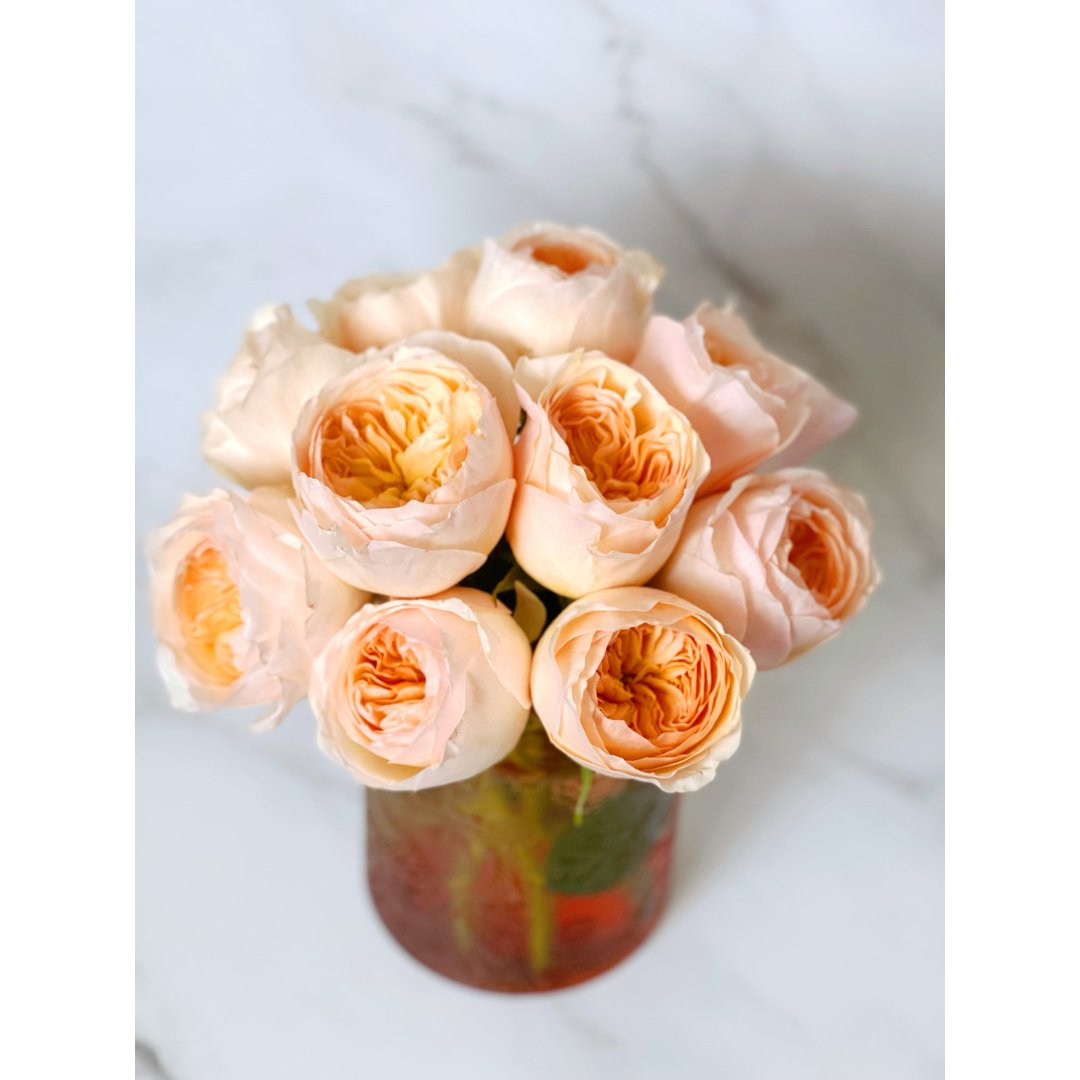 晒晒圈家居厨卫精选百万切花 朱丽叶