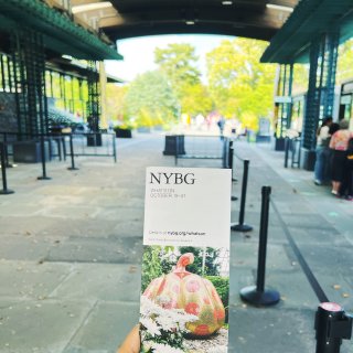 NY草间弥生｜超适合拍照的纽约植物园打卡...