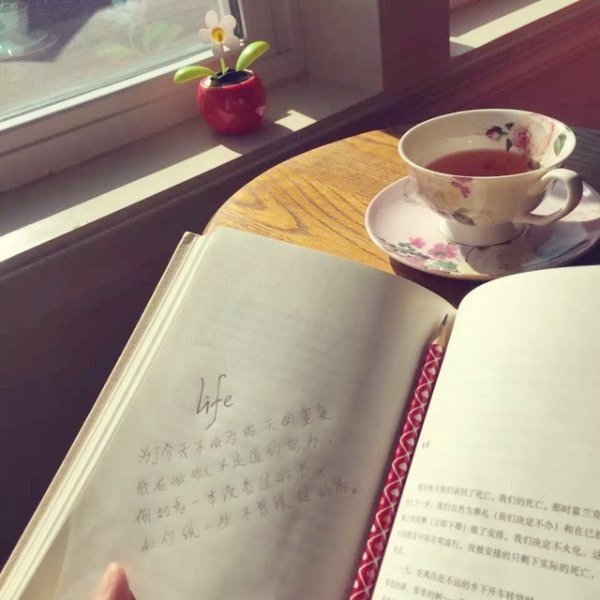 晒货图片