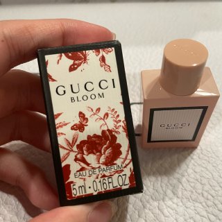 Gucci Q香