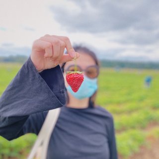 摘草莓啦| OOTD