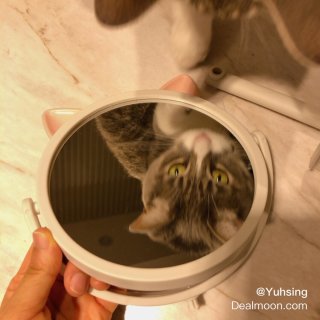 貓頭造型壁掛化妝鏡🐱照鏡子就有好心情...