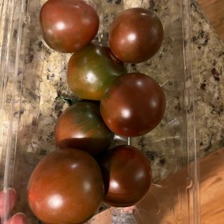 脑袋冲～brown tomato...