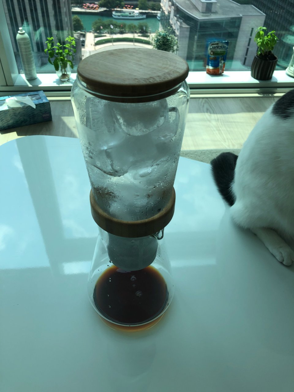 冰滴咖啡 Icedrip
