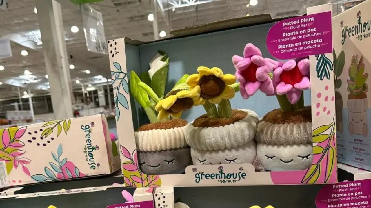 Greenhouse 的小花花，北加的店里也终于到货了。