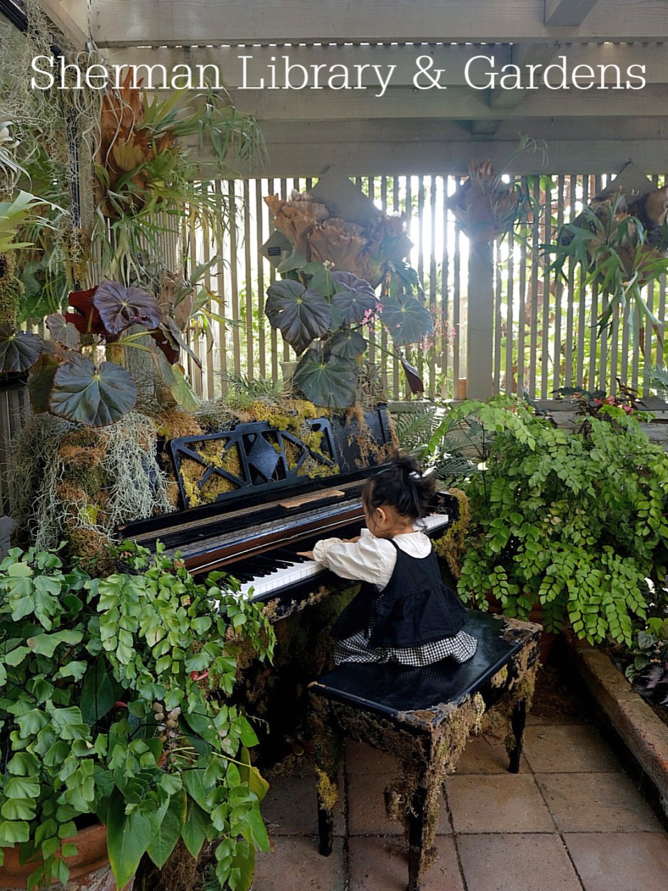 LA周边｜童话般的秘密植物花园...