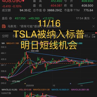 美股投资笔记 11/16 -TSLA...