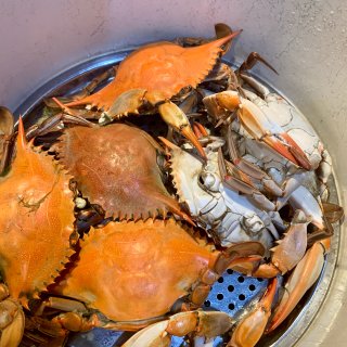 千呼万唤，大佛州的蓝螃蟹总算到季节啦。...