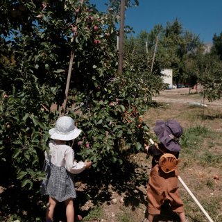 南加州|最古老的苹果园Los Rios ...