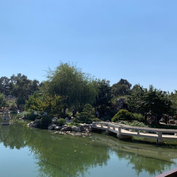 晒货图片