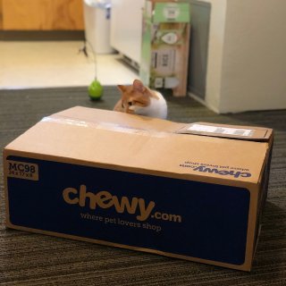 Chewy包裹到啦