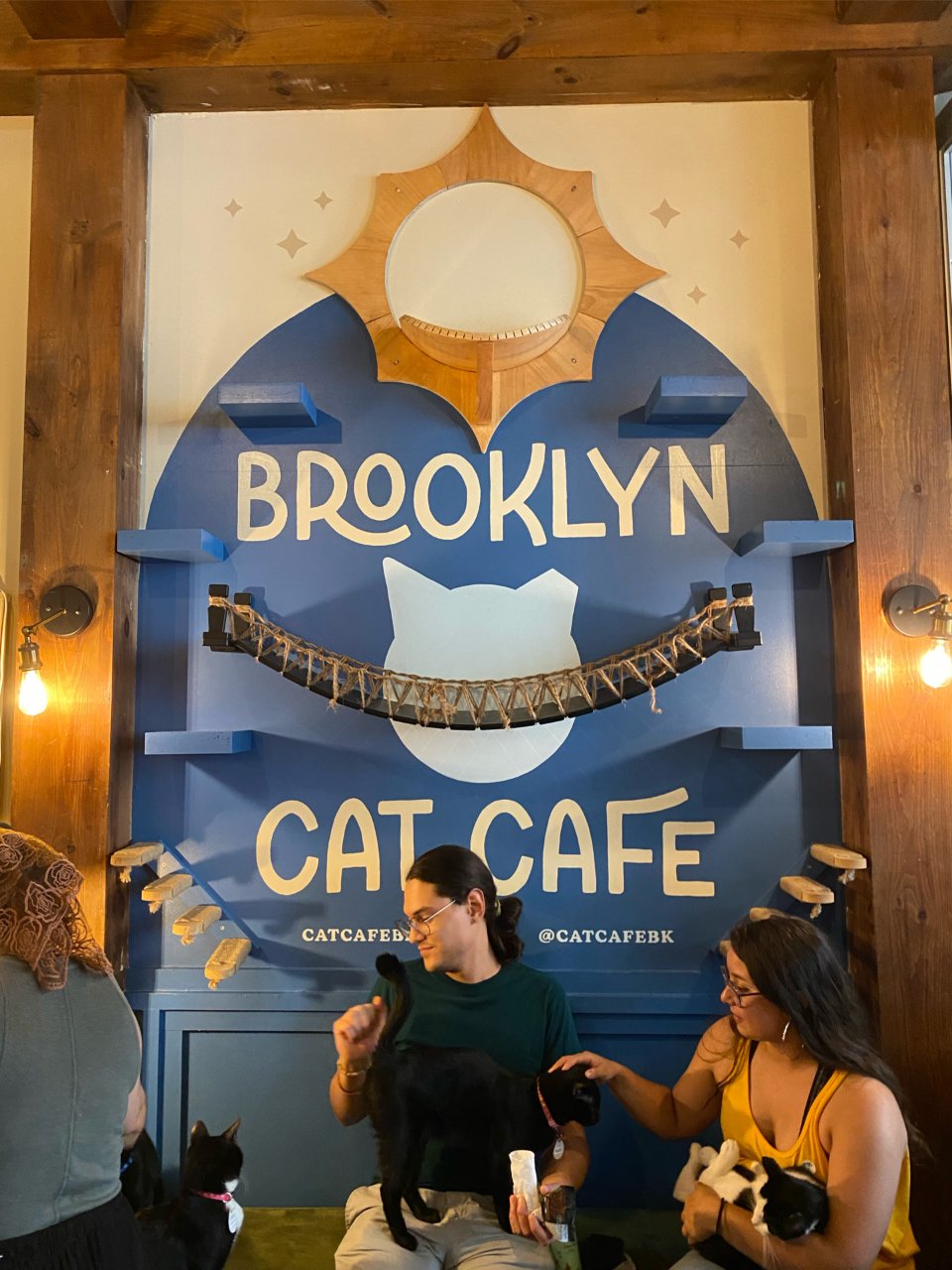 🐈‍⬛ Brooklyn Cat Caf...