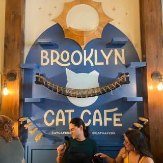 🐈‍⬛ Brooklyn Cat Caf...