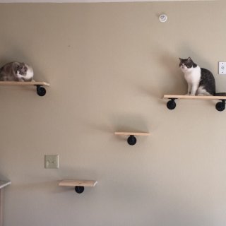 DIY猫爬架