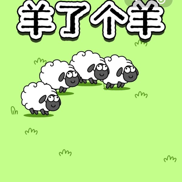 晒货图片