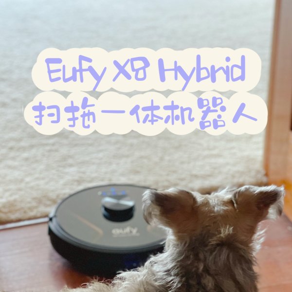 晒货图片