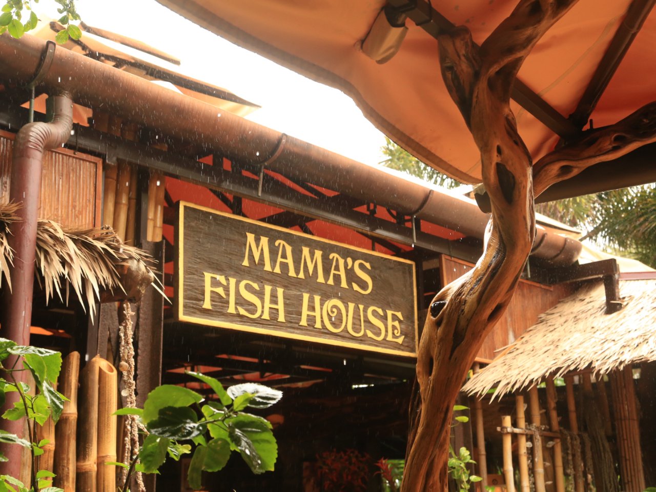 【夏威夷】Mama’s Fish Hou...