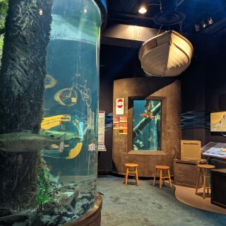 佛蒙特🇺🇸：ECHO Aquarium水...