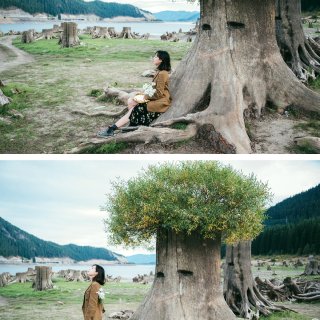 西雅图周边｜“魔法森林”长头发的树墩🌲...