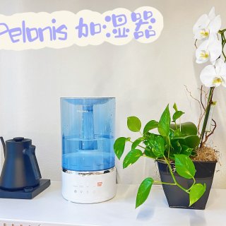微众测｜ Pelonis加湿器，你喜欢植物也喜欢😘