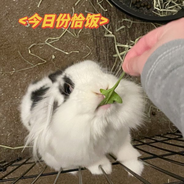 晒货图片