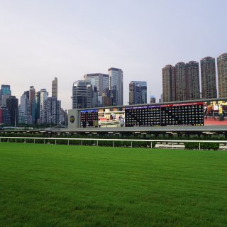 香港跑马场🐎｜最高级的市井玩法...