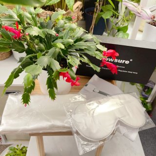 红与白的圣诞气氛—白色桑蚕丝和我的小红花...