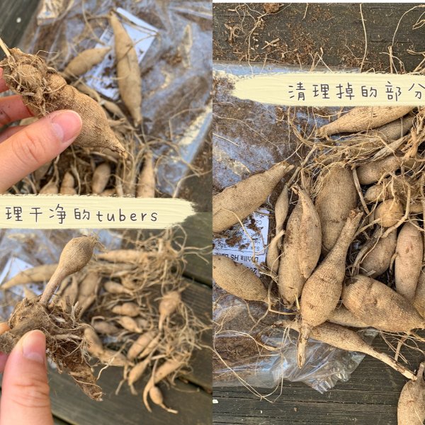 晒货图片