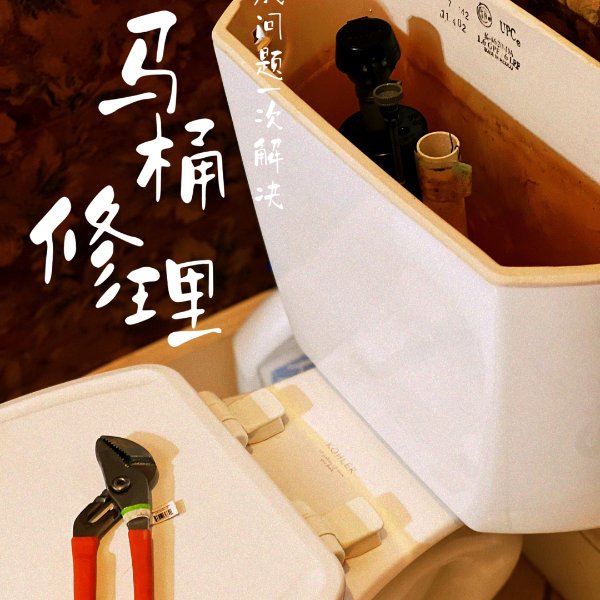 晒货图片