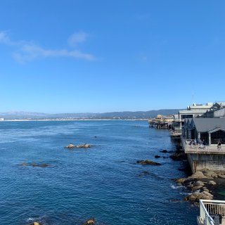 湾区遛娃记-Monterey Bay A...