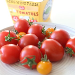 这么可爱的有机番茄你吃过吗🍅...