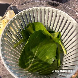 韩系厨房好物｜奶乎乎的蔬菜脱水器🥗...