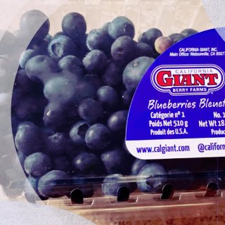 蓝莓的季节来惹🍁 爱它就来吃掉它😋...