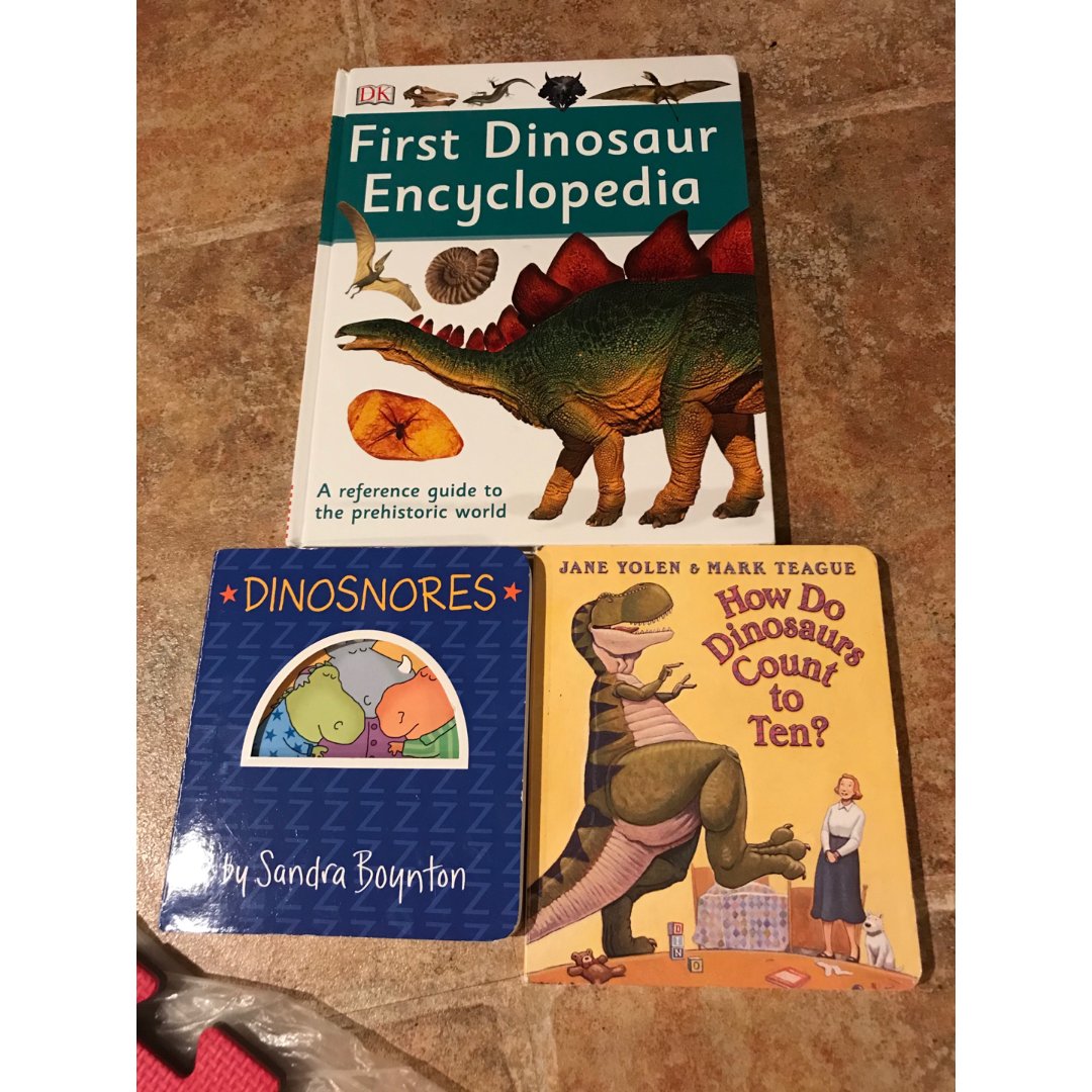 恐龙系列绘本20