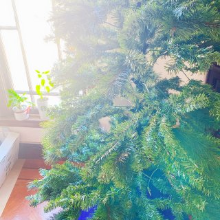 🎄節日氣氛/家庭聖誕樹🎄...