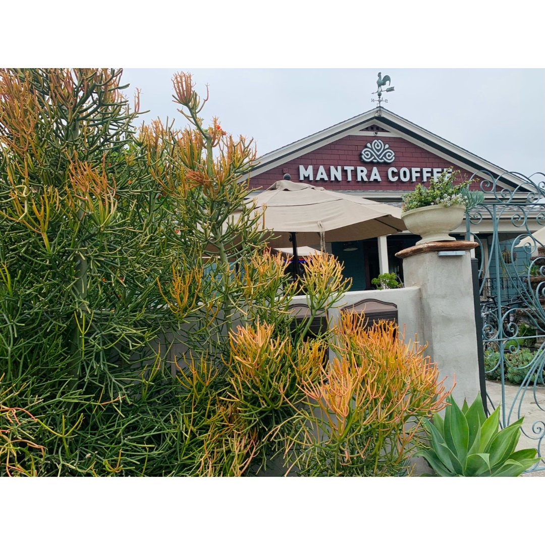森林感咖啡店 || Mantra Cof...