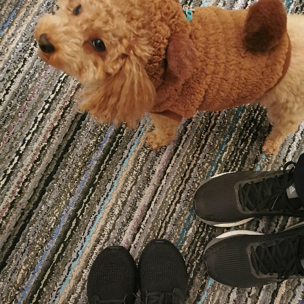 晒货图片
