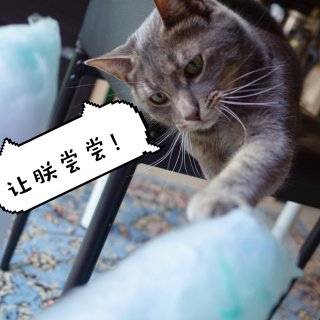 💙欢乐午后时光🌀宅家DIY棉花糖☁️...