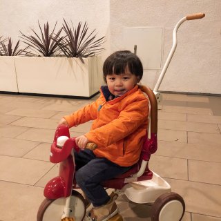 iimo