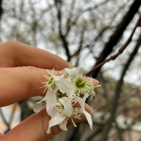 笔记图片